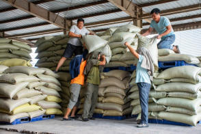 高效搬運服務 人工裝卸、設備搬運與工廠搬遷一體化解決方案